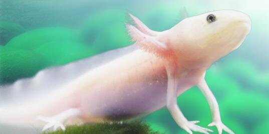 upao0926's profile banner image