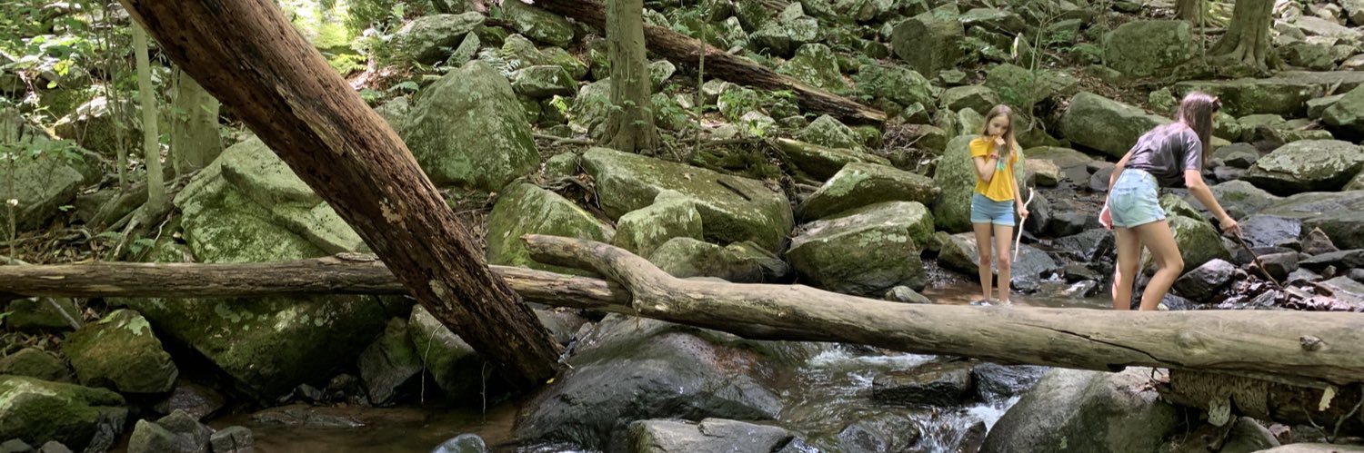 Sarah Blaine (she/her) banner