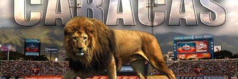 Zully Bacca banner