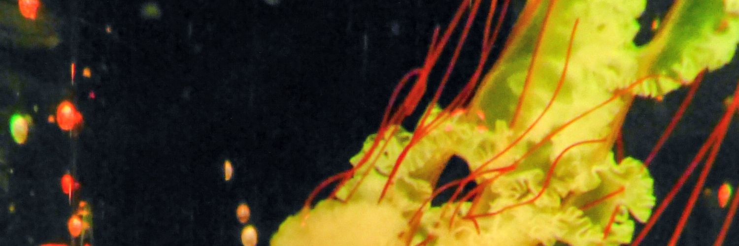 AutbN1203's profile banner image