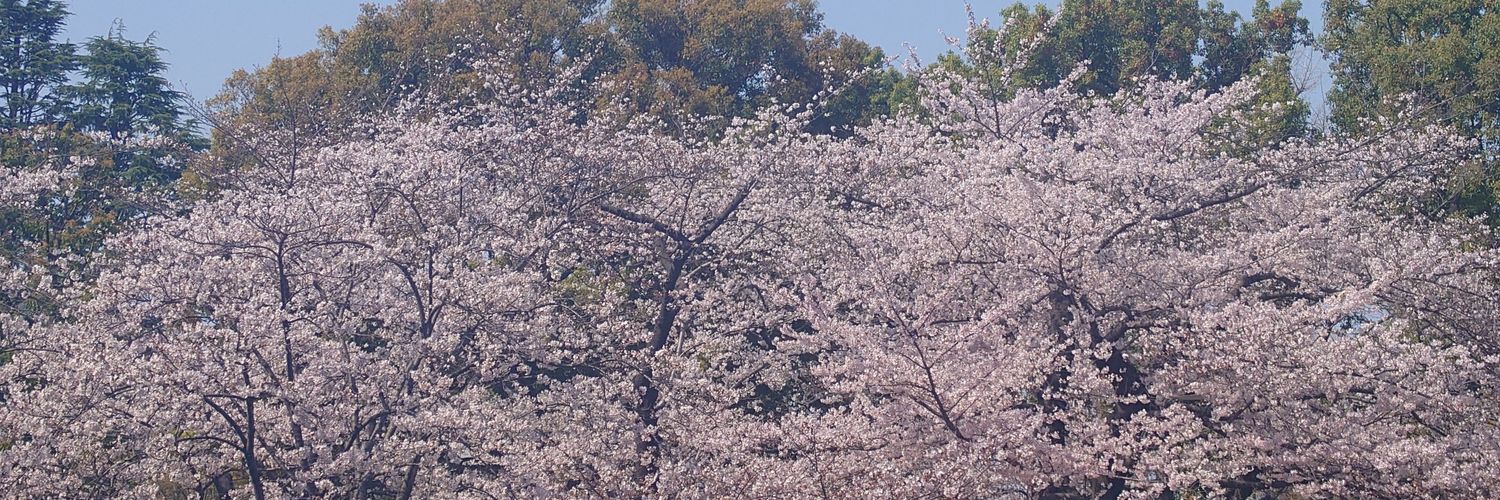 aikatu_panda's profile banner image