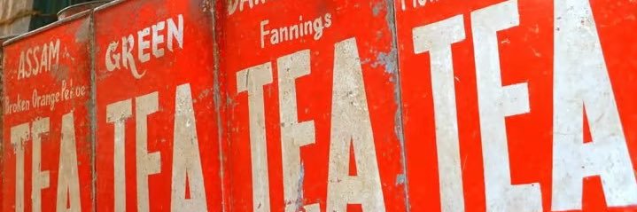 Rachel O'Brien banner