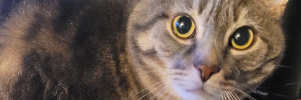 robotniix_ Profile Banner