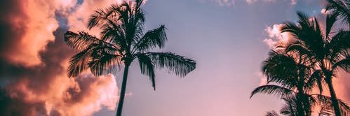 xEnvyMe_'s profile banner image
