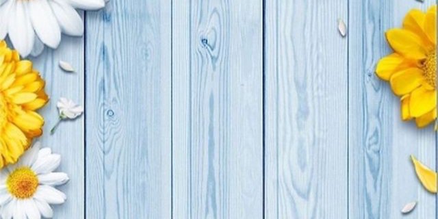 missesrogers's profile banner image