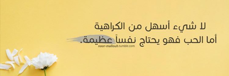 alimmmali's profile banner image