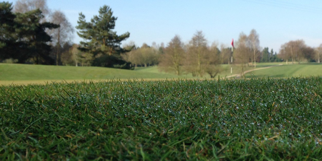 stoke pro shop banner