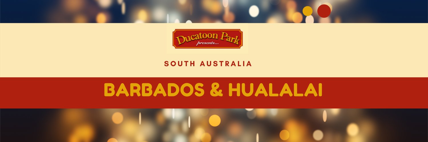 ducatoon's profile banner image