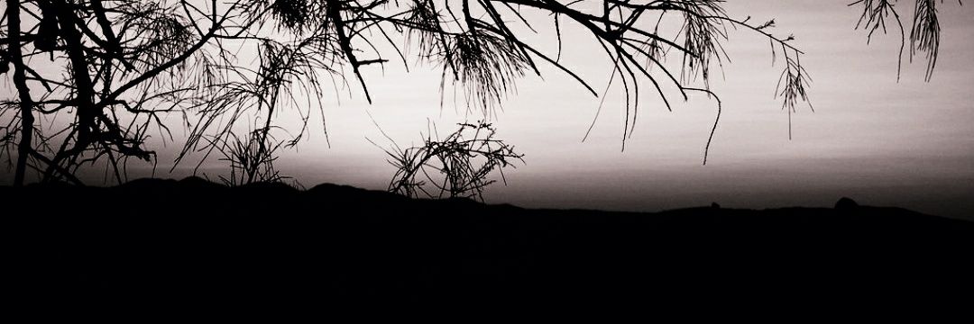 mooh45760's profile banner image