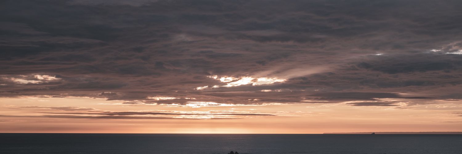 Andrew Walker 💚🥀🍉 banner