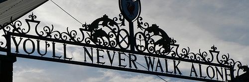 Stevie banner
