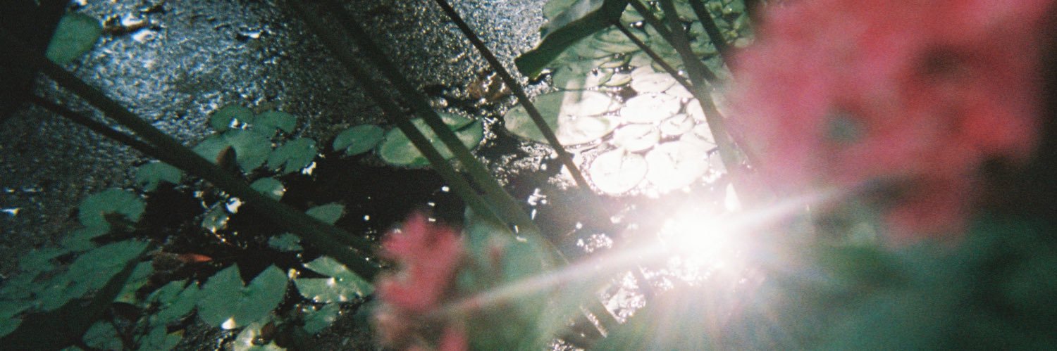 yanscheuk's profile banner image