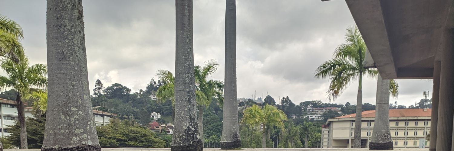 Jesus Colmenares banner