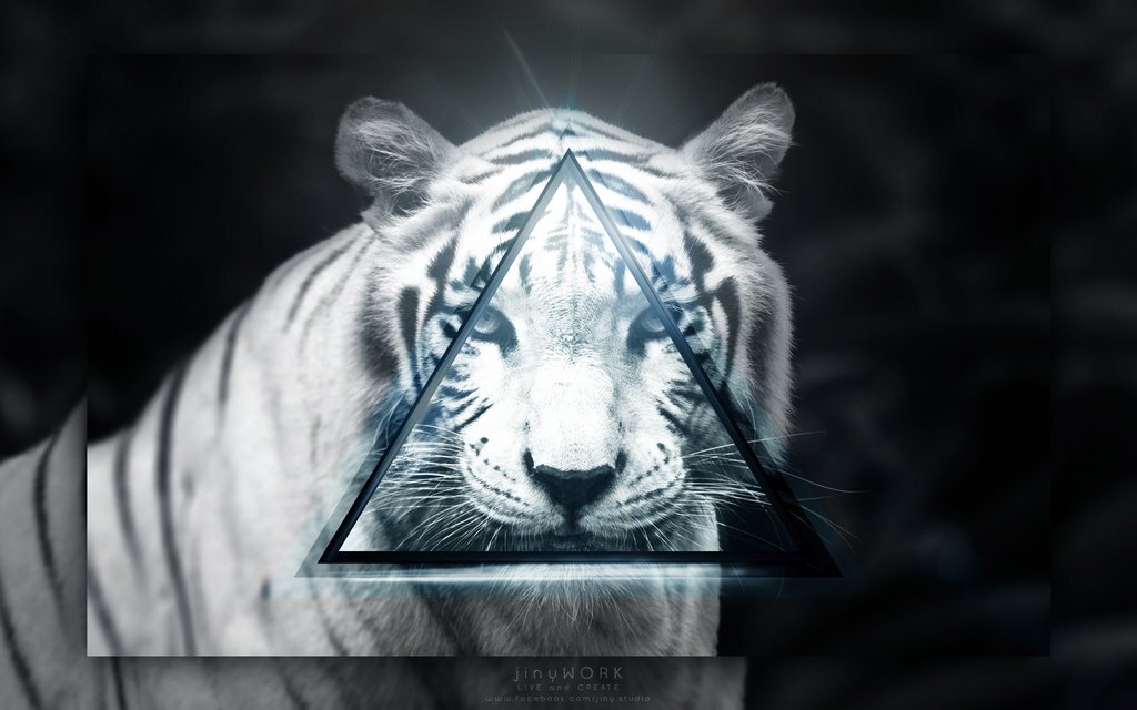NevaGiveAFxxk's profile banner image