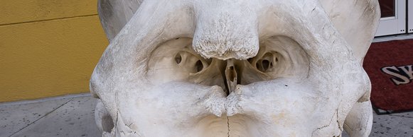 ManCaveSM's profile banner image