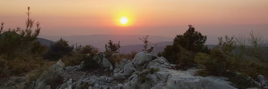 charbel gereige banner