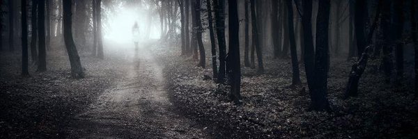 texerya Profile Banner