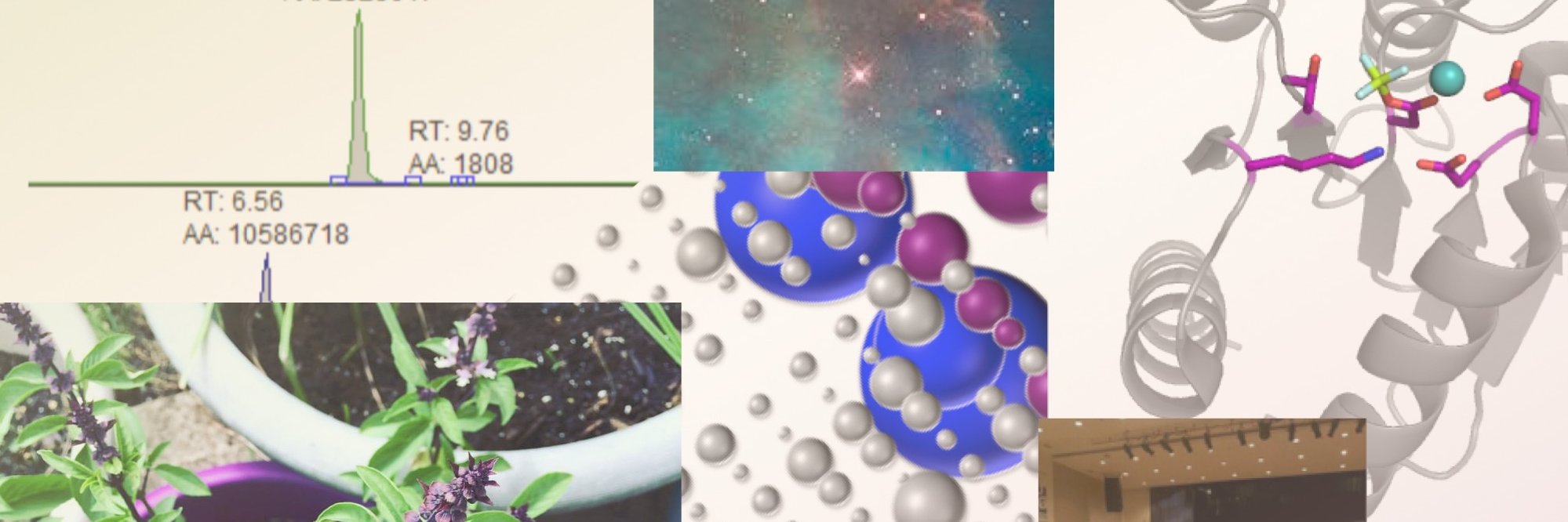 #BLACKandSTEM banner