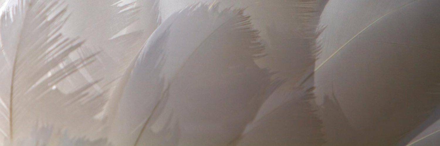 vanilllamilk's profile banner image