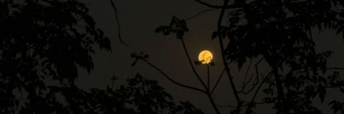 AjayVermaxd's profile banner image