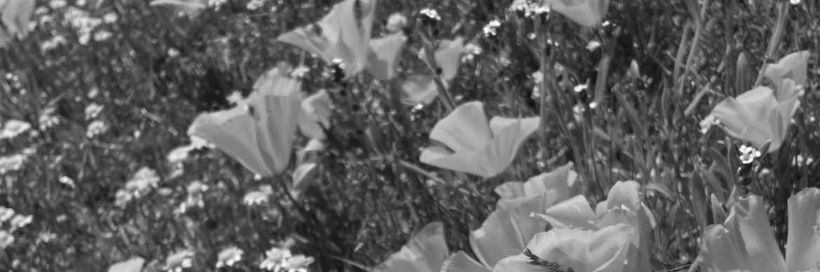 murphyj05's profile banner image