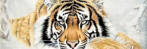 ChezisMe's profile banner image