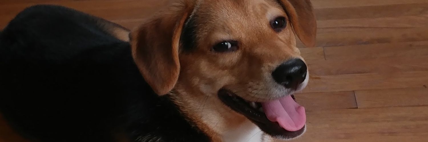 tregorman42's profile banner image