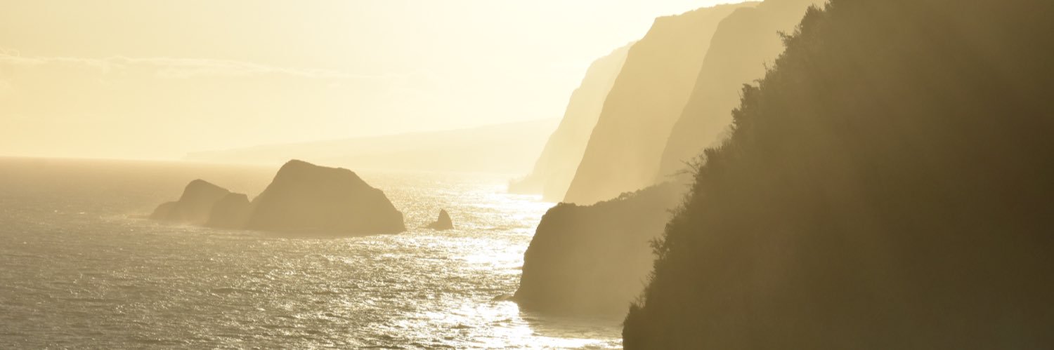 jofo808's profile banner image