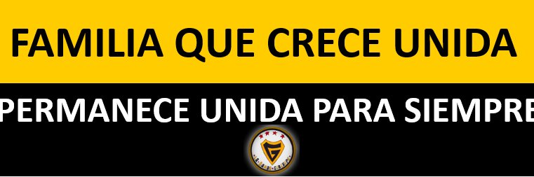 Hinchada_Guachu's profile banner image