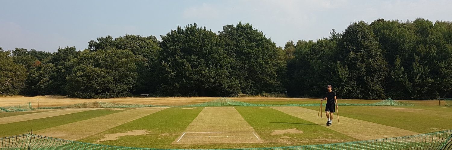 Roehampton Bats Cricket Club banner