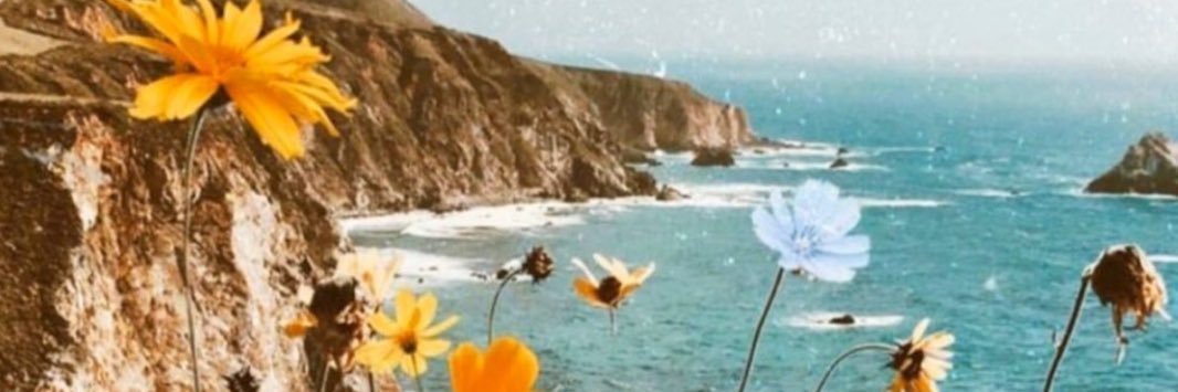 jessicalalala23's profile banner image