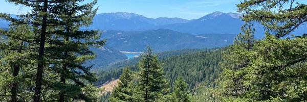 ShastaTrinityNF Profile Banner