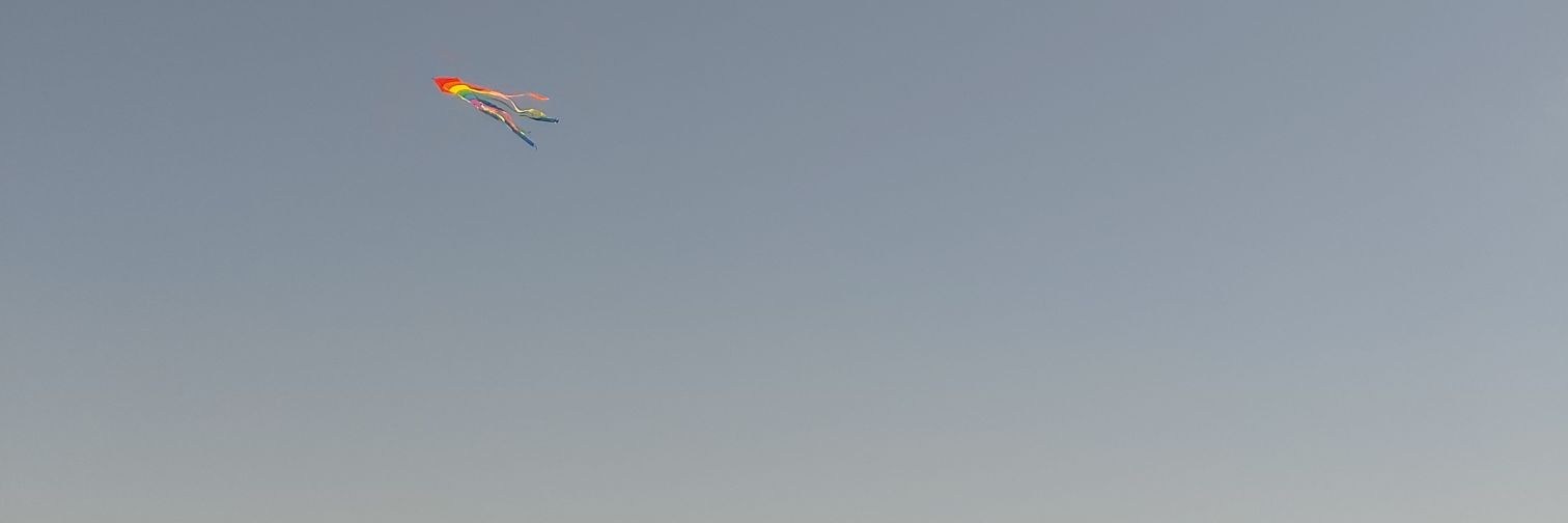 Siwan Haf banner