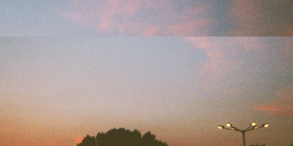 TheWildCurve's profile banner image