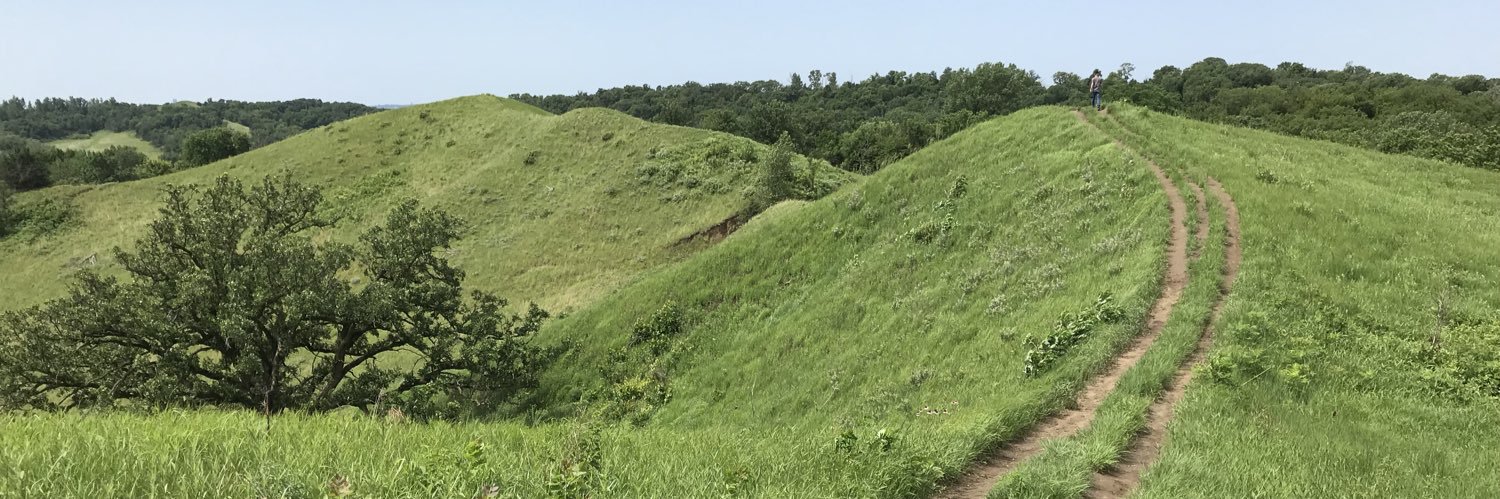 MichaelJLeland's profile banner image
