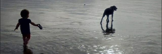 SerryTmith_'s profile banner image