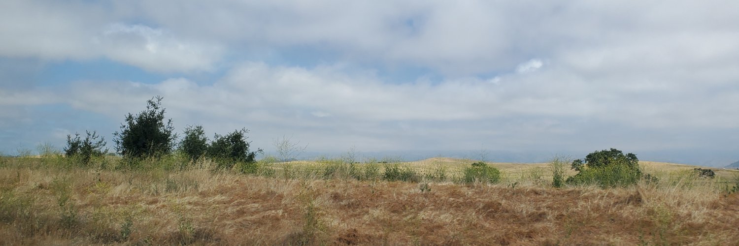 bellemcw's profile banner image