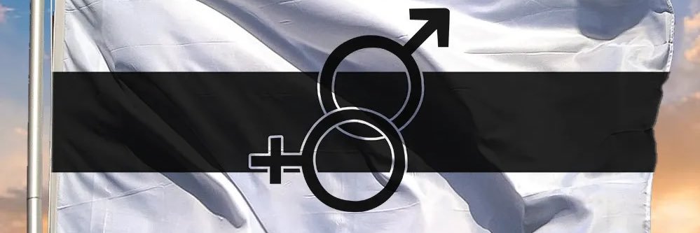 Hugin Muninsson⚛️🇸🇪🇳🇴 banner