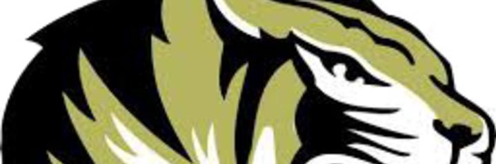 LSHSBoysTrack's profile banner image