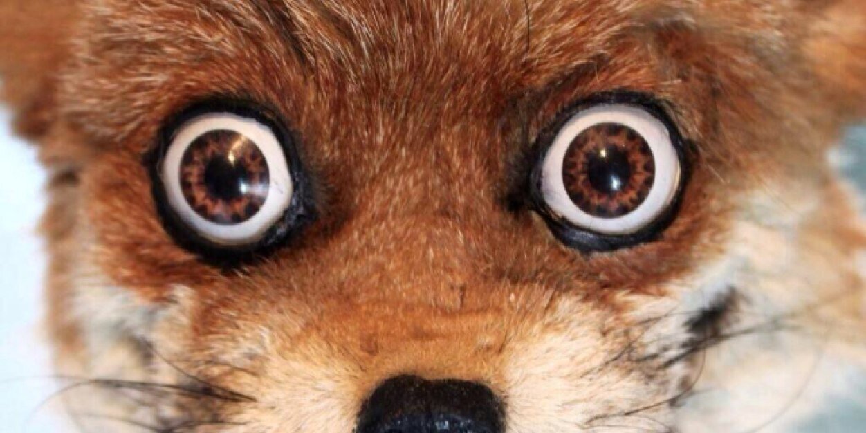 Jonstokes83's profile banner image