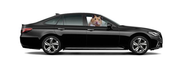 BenskiOner Profile Banner