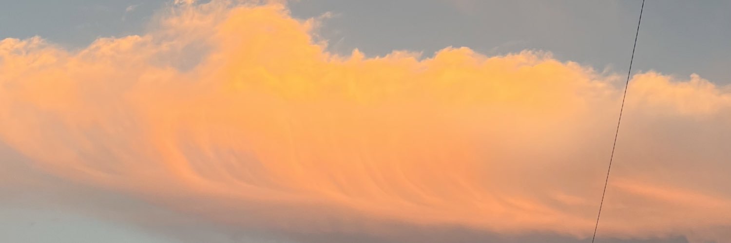 miii_y36's profile banner image