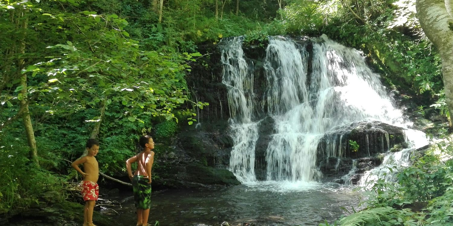 Nuria Graells banner