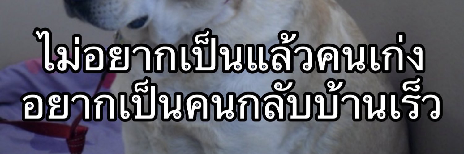 quaintp_'s profile banner image