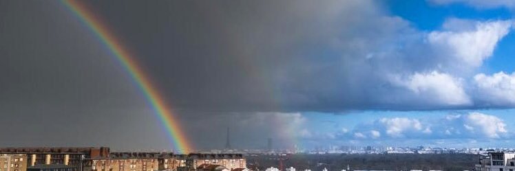 DocShadok 🐊🦡 banner