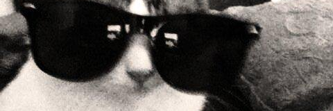 dat609's profile banner image