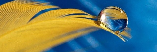 natabarlet79's profile banner image