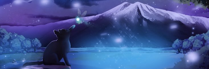 missy_tempest's profile banner image