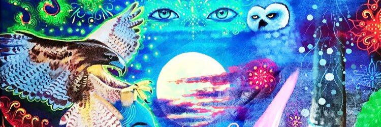 VPehlivanova's profile banner image