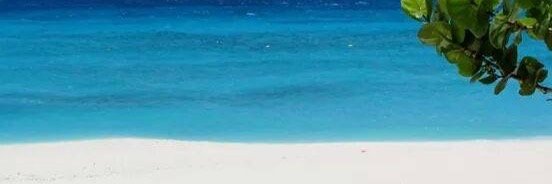 rianneploeg's profile banner image